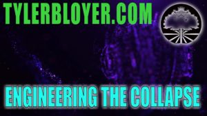 https://tylerbloyer.com/2020/03/18/engineering-the-collapse/