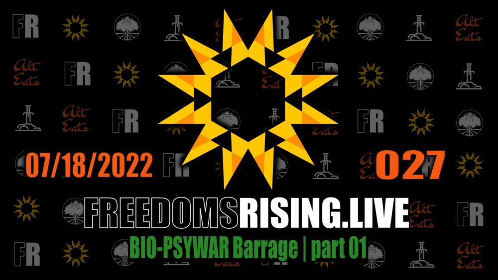 https://tylerbloyer.com/2022/07/18/wake-up-freedom-is-on-the-rise-freedoms-rising-027/