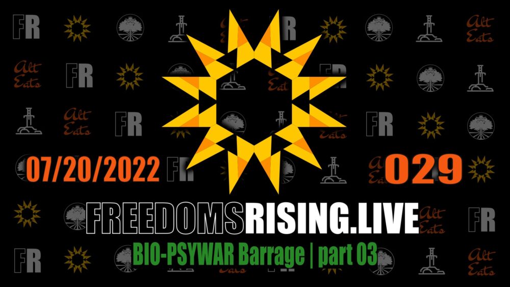 https://tylerbloyer.com/2022/07/20/wake-up-freedom-is-on-the-rise-freedoms-rising-029/